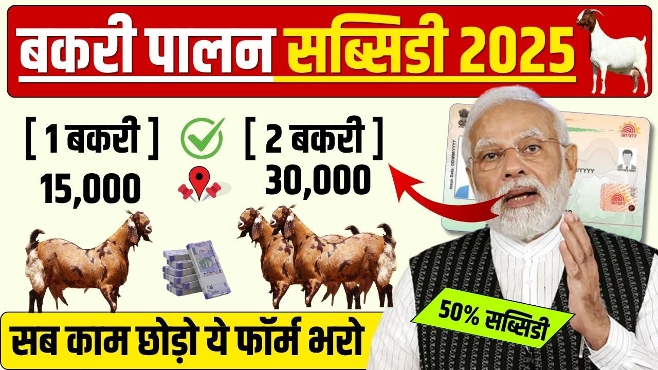 Bakri Palan Loan Yojana 2025
